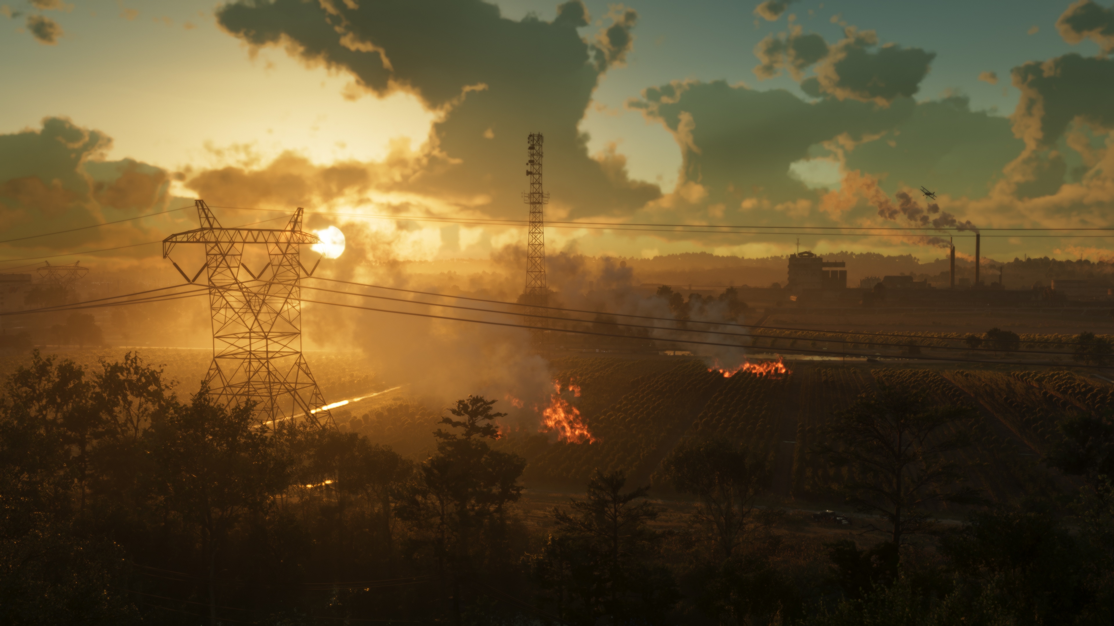 Ambrosia County 4